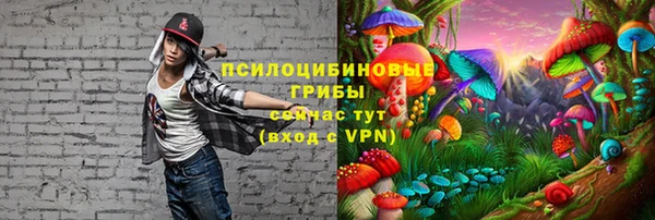 эйфоретик Мегион