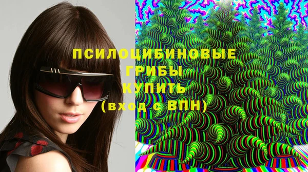 гашик Уссурийск