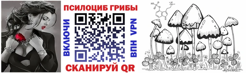 Псилоцибиновые грибы ЛСД  где купить наркоту  Миллерово 