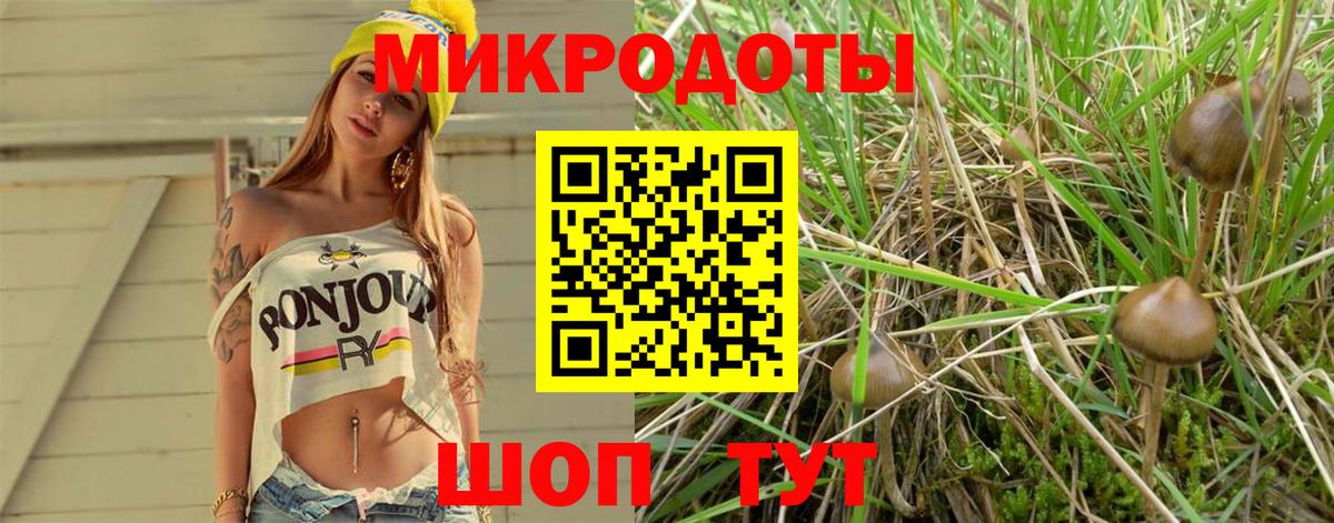 Псилоцибиновые грибы мицелий Миллерово
